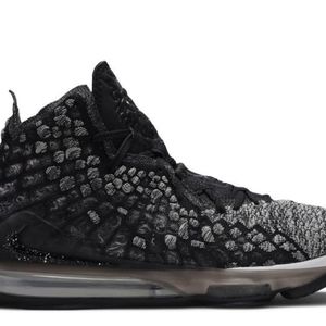 Lebron 17 In The Arena